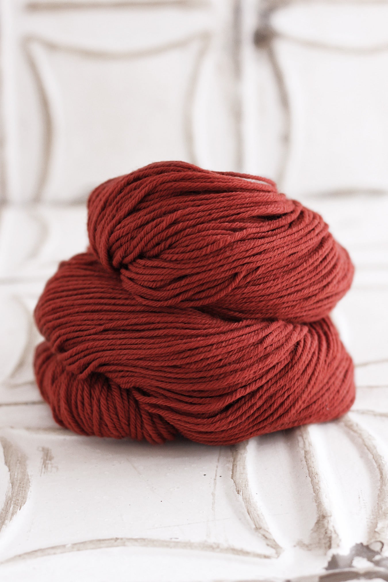 Red Beech